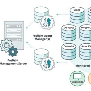 Cách thức hoạt động của sản phẩm Foglights for Database