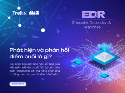 phat-hien-va-phan-hoi-diem-cuoi-la-gi